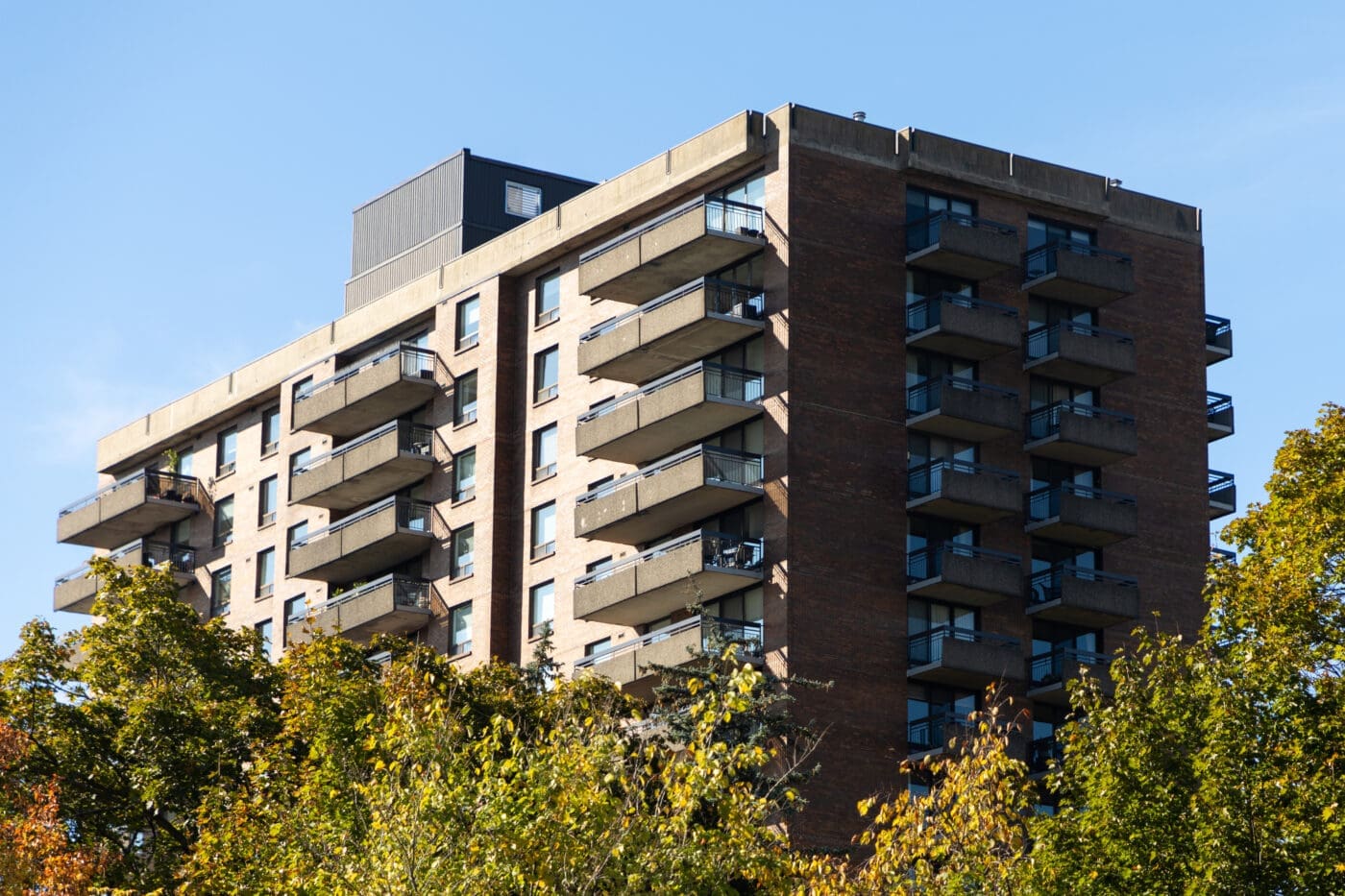 Immobilier